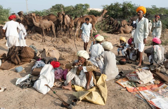 camel-traders-camel-pushkar-camel-fair-london-freelance-photographer-richard-isaac-3200